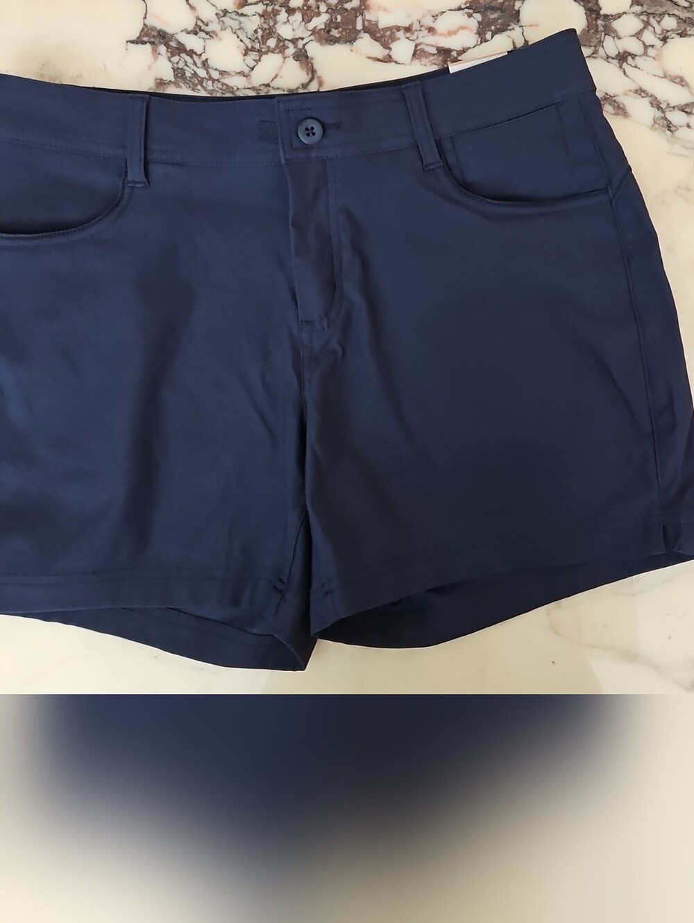 Prana Navy Blue Women's Casual Shorts